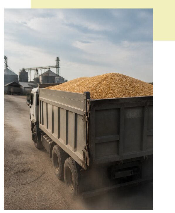 Перевозка сельхозпродукции навалом в Вичугу по цене от 3048 р. | Агросервис-Вчг